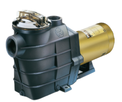 美國HAYWARD單向閥 