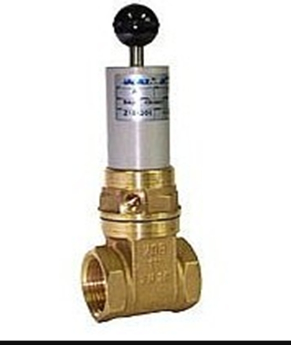 意大利VALVAUT閥門