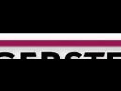 德國(guó)GERS進(jìn)樣器