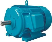 意大利Magnetic異步伺服電機(jī)