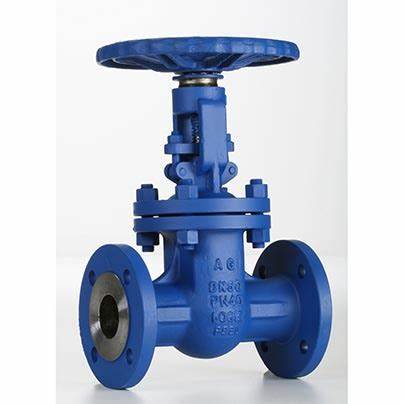 供應意大利Valvosider閥門、過濾器