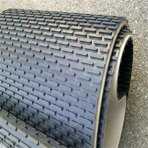 美國(guó)Colmar輸送帶